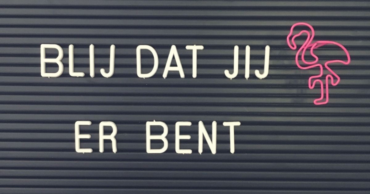 De dag van de Verpleging Healthz Zorgprofessionals