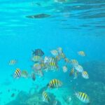 Ziekenhuiswerk op Aruba – Julian werkt als verpleegkundige in het Horacio Oduber Ziekenhuis.