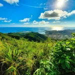 Pic-Paradis-Sint-Maarten-